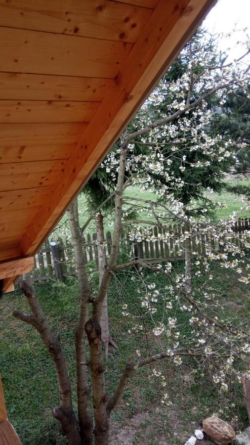 Pokoje U Adama Grajoka Szczawnica Esterno foto