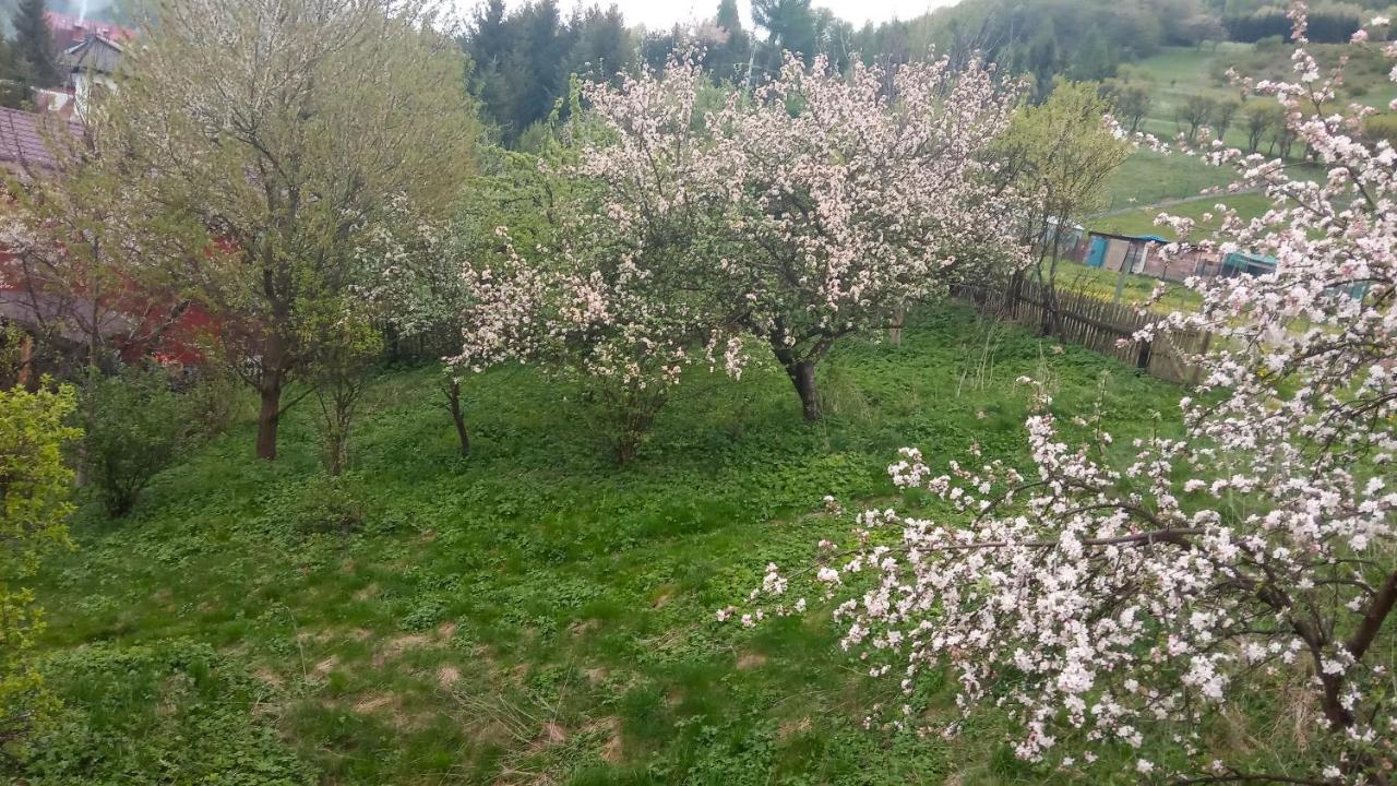 Pokoje U Adama Grajoka Szczawnica Esterno foto