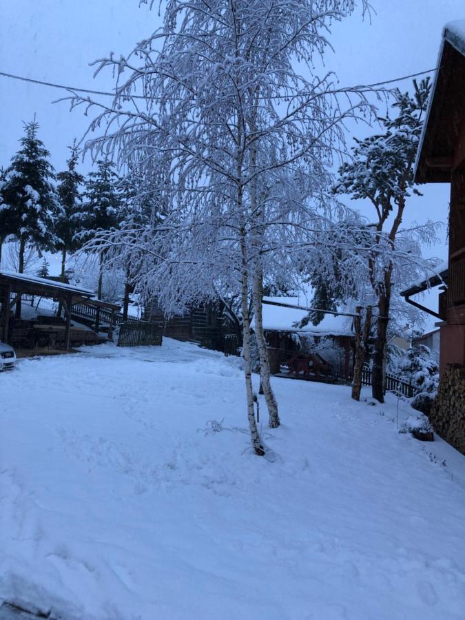 Pokoje U Adama Grajoka Szczawnica Esterno foto
