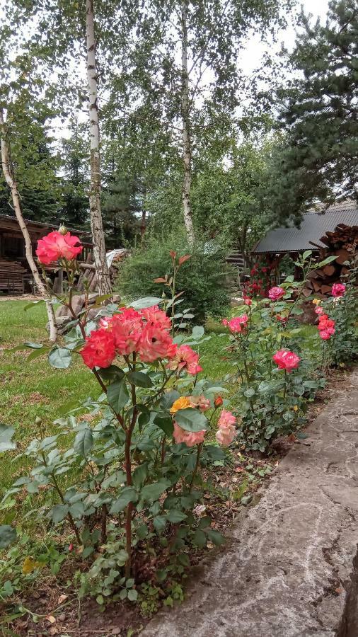 Pokoje U Adama Grajoka Szczawnica Esterno foto